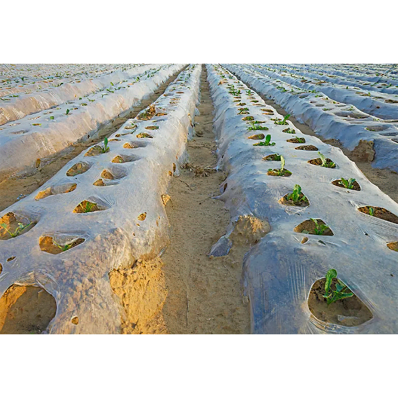 Película de plástico agrícola